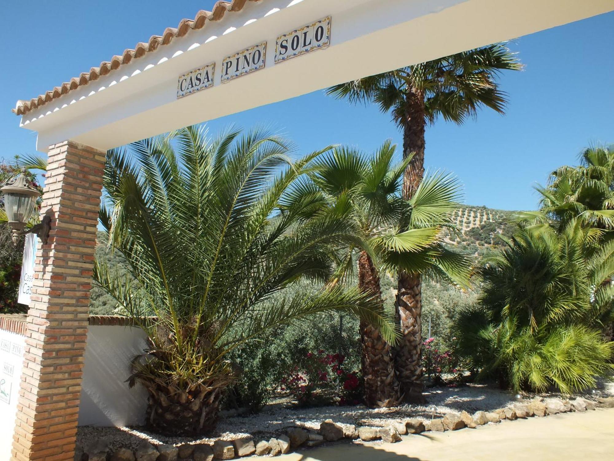 IznájarCasa Pino Soloアパートメント エクステリア 写真